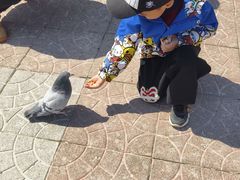 -朝阳公园游乐园