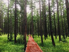 -塞罕坝国家级自然保护区