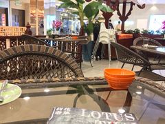 -荷花泰菜(东方新天地店)