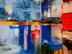 水产区-蜀滋香鲜鱼美蛙火锅(339店)