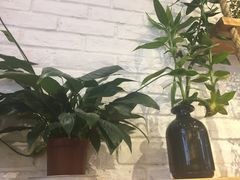 -拌面小当家