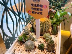 -润园四季椰子鸡火锅(欢乐海岸店)