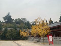 -函谷关历史文化旅游区