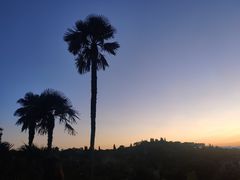 -米开朗琪罗广场