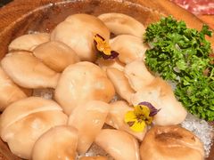 -季季山·云南野生菌火锅(上海首店)