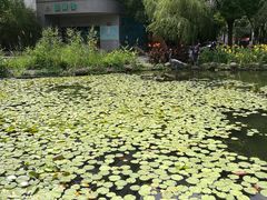 -苏州河梦清园环保主题公园