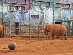 -昆明动物园