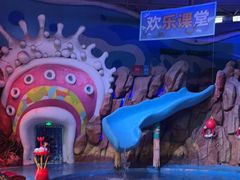 -烟台海昌鲸鲨海洋公园