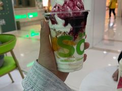 -Salud撒露欧洲冻酸奶(五道口购物中心店)