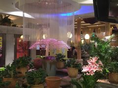 -润园四季椰子鸡火锅(海上世界店)