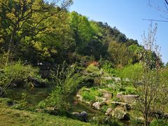 -常德桃花源景区