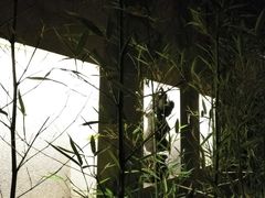 -厦门日月谷温泉渡假村