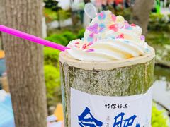 -合肥滨湖国家森林公园