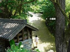 -浙北大峡谷