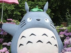 -上海滨江森林公园