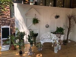 -非常六加一儿童摄影(同安店)