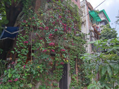 -西关84·History·Art·Cafe