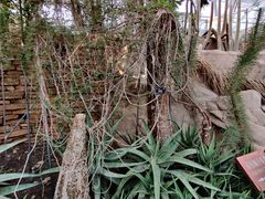 -北京植物园-展览温室