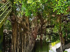 -大嶝英雄三岛战地观光园