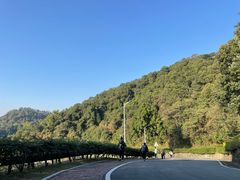 -火炉山森林公园