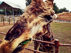 -西安秦岭野生动物园