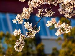 -永乐路-路侧停车场