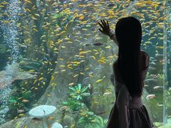 -合肥海洋世界