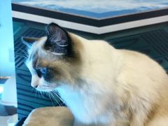 -零纪元VR体验馆·桌游(黄浦店)