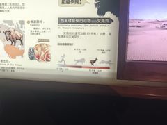 -天津自然博物馆