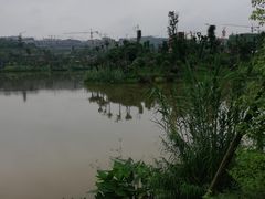 -枫香湖儿童公园