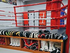 -TFC 纯泰拳馆MuayThai