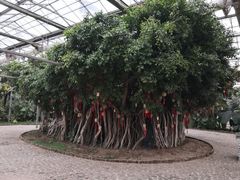 -龙达温泉生态城