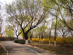 -永定河休闲森林公园