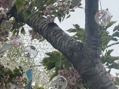 -龙湖星悦荟(颐和店)
