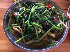 炒地瓜叶-正宗南铁拉叔沙煲螺·烧烤·秘制靓粥(南铁总店)