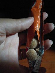 -乐友孕婴童(都旺店)