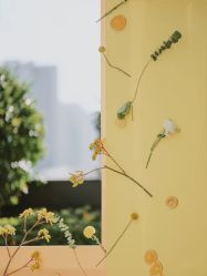 -忆江南婚礼策划(姑苏店)