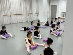 -西安小天鹅艺术团(金花路校区)