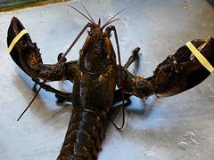 -怡景湾·海滨海鲜大酒楼·珠海老字号