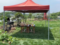 -美家乐农庄·露营·团建(大治路店)