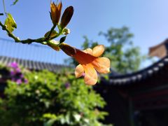 -火火咖啡&茶空间