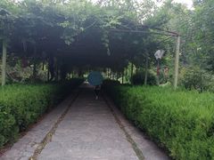 -花洲书院