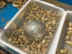 -那些年记忆烧烤