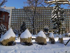 -北海道厅旧本厅舍(旧本庁舎)