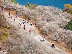 -广州市流溪河国家森林公园