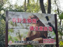 -苏州上方山国家森林公园