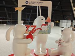 -上海浦东国际机场-T2航站楼