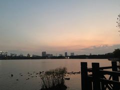 -海珠湖公园