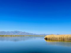 -野鸭湖国家湿地公园