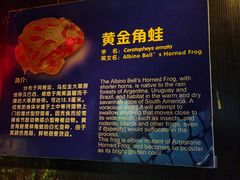 -广州长隆飞鸟乐园
